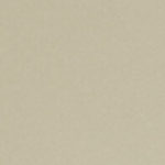 Champagne Gold Metallic